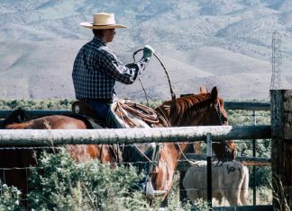 Cowboy på sin hest med en pisk