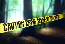 Murder Mystery