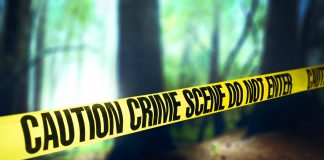 Murder Mystery