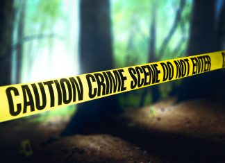 Murder Mystery